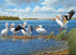 Pelicans Diamond Painting